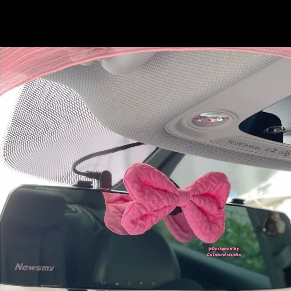 Car decorations - Picture 3 of 3